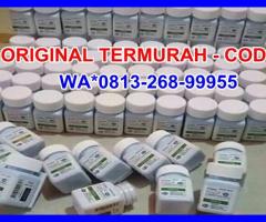 TOKO AIDAFARMA : 081326899955 JUAL VIAGRA DI CILEGON