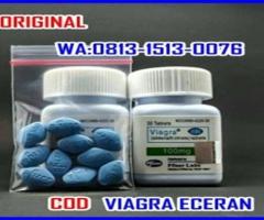 BELI VIAGRA ECER SATUAN DI NGANJUK WA.081315130076 ORIGINAL